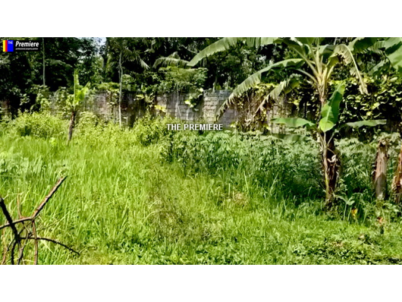 Tanah Dijual Di Cidahu, Sukabumi