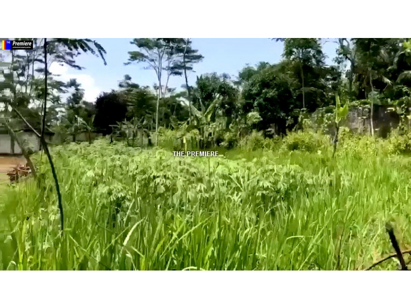 Tanah Dijual Di Cidahu, Sukabumi