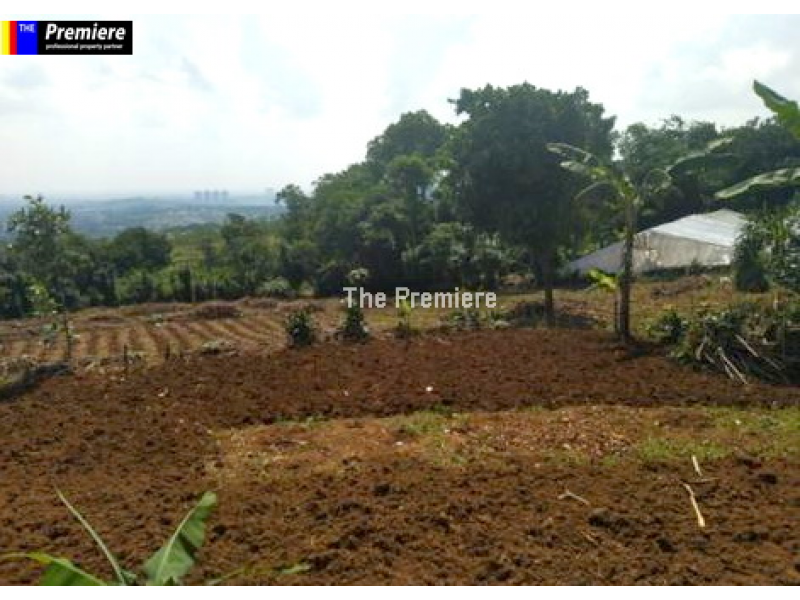 Dijual Tanah Luas Murah Proses Sertifikasi