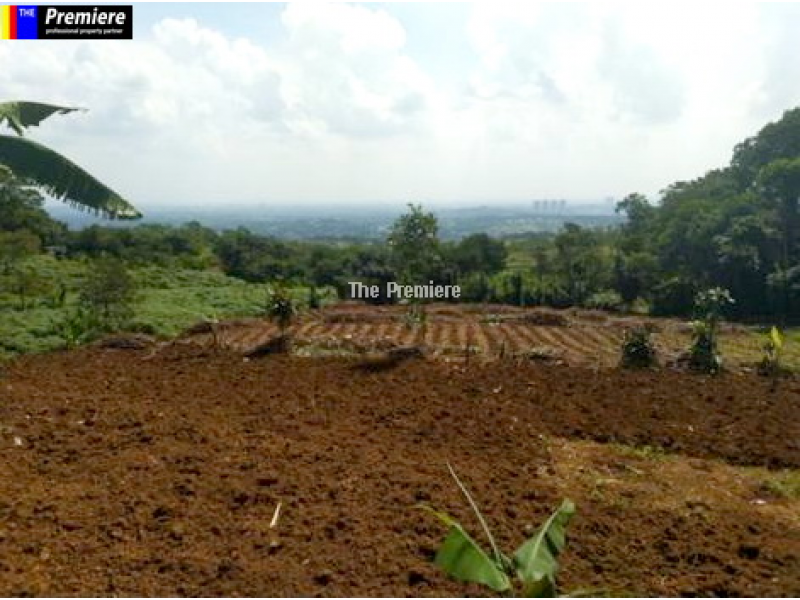 Dijual Tanah Luas Murah Proses Sertifikasi