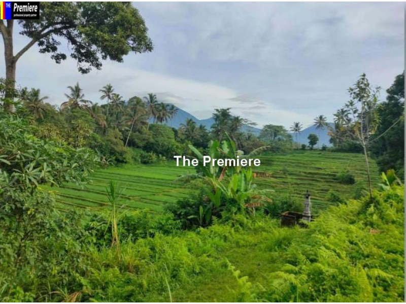 Tanah Jl. Asah Penebel, Tabanan, Bali